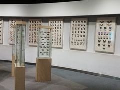 -陕西自然博物馆