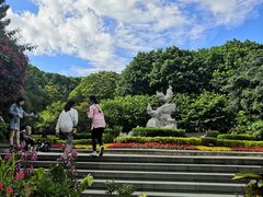 -金鸡山公园