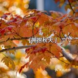 杭州的秋日‖天目里的最美红枫