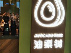 -油梨树AVOCADO TREE(望京店)