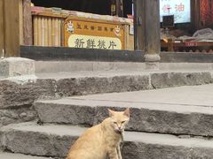 -五凤溪古镇