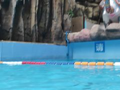 -青岛东方影都融创水世界