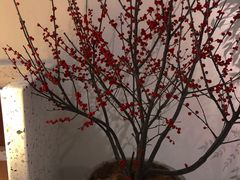 -ROIIN用心(杭州首店)