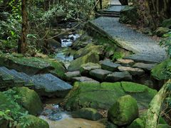 -东莞市大岭山森林公园