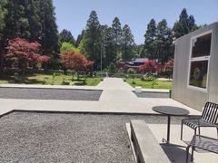 -玉苍山国家森林公园