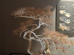 -北方暖暖温泉度假洗浴
