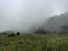 -白草畔自然风景区