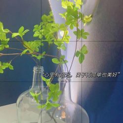 -Lily纤美·科技减脂中心