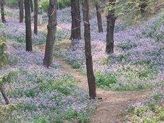 -香山公园