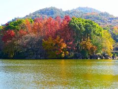-白马涧龙池景区