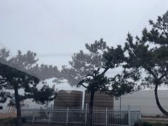 -阳光海岸露营公园