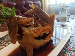糖醋鲤鱼-城南往事·鲁菜济南菜(龙奥万科店)