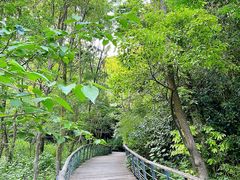 -西湖风景区-江洋畈生态公园