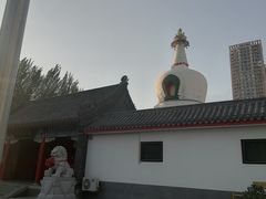 -西塔