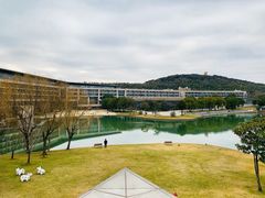 -上海佘山世茂艾美酒店