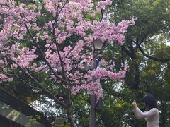 -乌山风景区