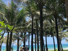 -三亚海棠湾仁恒皇冠假日酒店·大堂吧