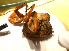-莲花公园煎蟹(总店)