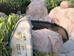 -金孔雀温泉旅游度假村