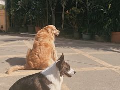 -自由生长植物工作室(深港花卉中心店)