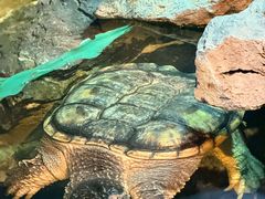 -沈阳海洋探索中心