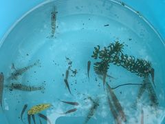 -大连冰峪旅游度假区