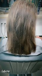 点击看大图 -Garden花園造型