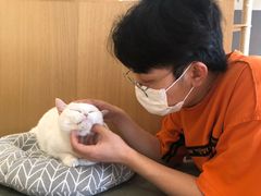 -CAT’S MEWSTAR CAFE·喵星球猫屋(晴湾咖啡店)