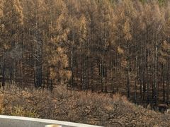 -帽儿山国家森林公园