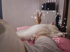 -lincat·猫舍(广州店)