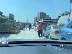 -金科花卉市场