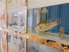 -西部马华清真食府·丝路菜(大钟寺店)