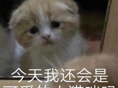 -蜀九香火锅(九眼桥店)