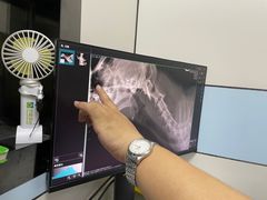 -中农国际动物医院24小时·猫科·骨科·急重症中心