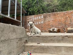 -姥家大锅台水库渔家