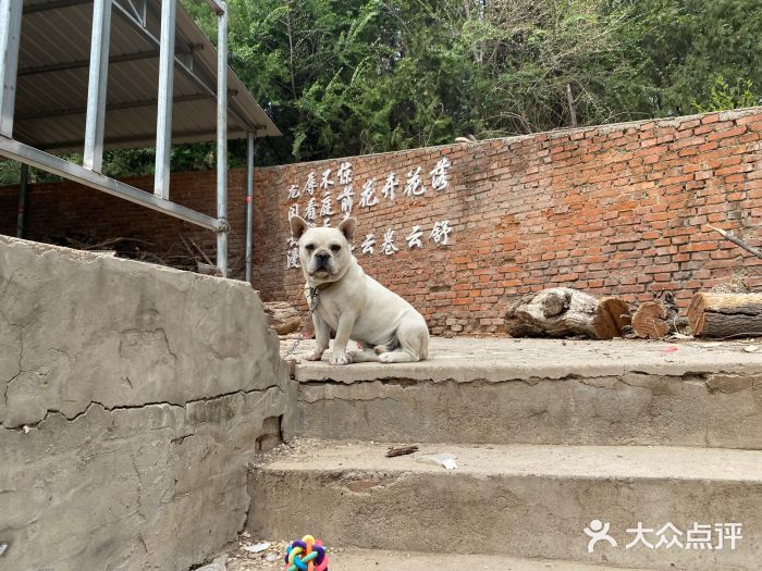 姥家大锅台水库渔家图片