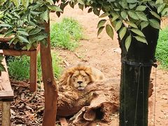 -昆明动物园
