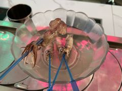 -星光教育超市(传媒大学店)