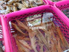 -春园海鲜广场D区6号(钟姐海鲜加工店)