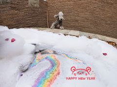 -北京美神宫艺术主题温泉酒店