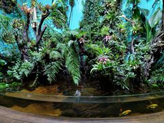 -太平洋海底世界