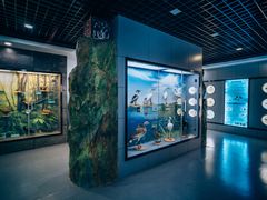 -下渚湖国家湿地公园科普馆