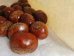 -粒上皇(虎门万达店)