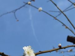 -洛阳市隋唐城遗址植物园