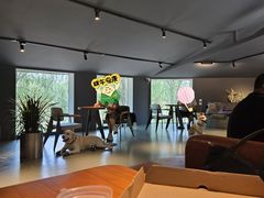 -爪吧宠物乐园 (温榆河示范区店)