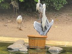-珠海长隆海洋王国