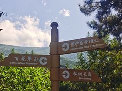 -白草畔自然风景区