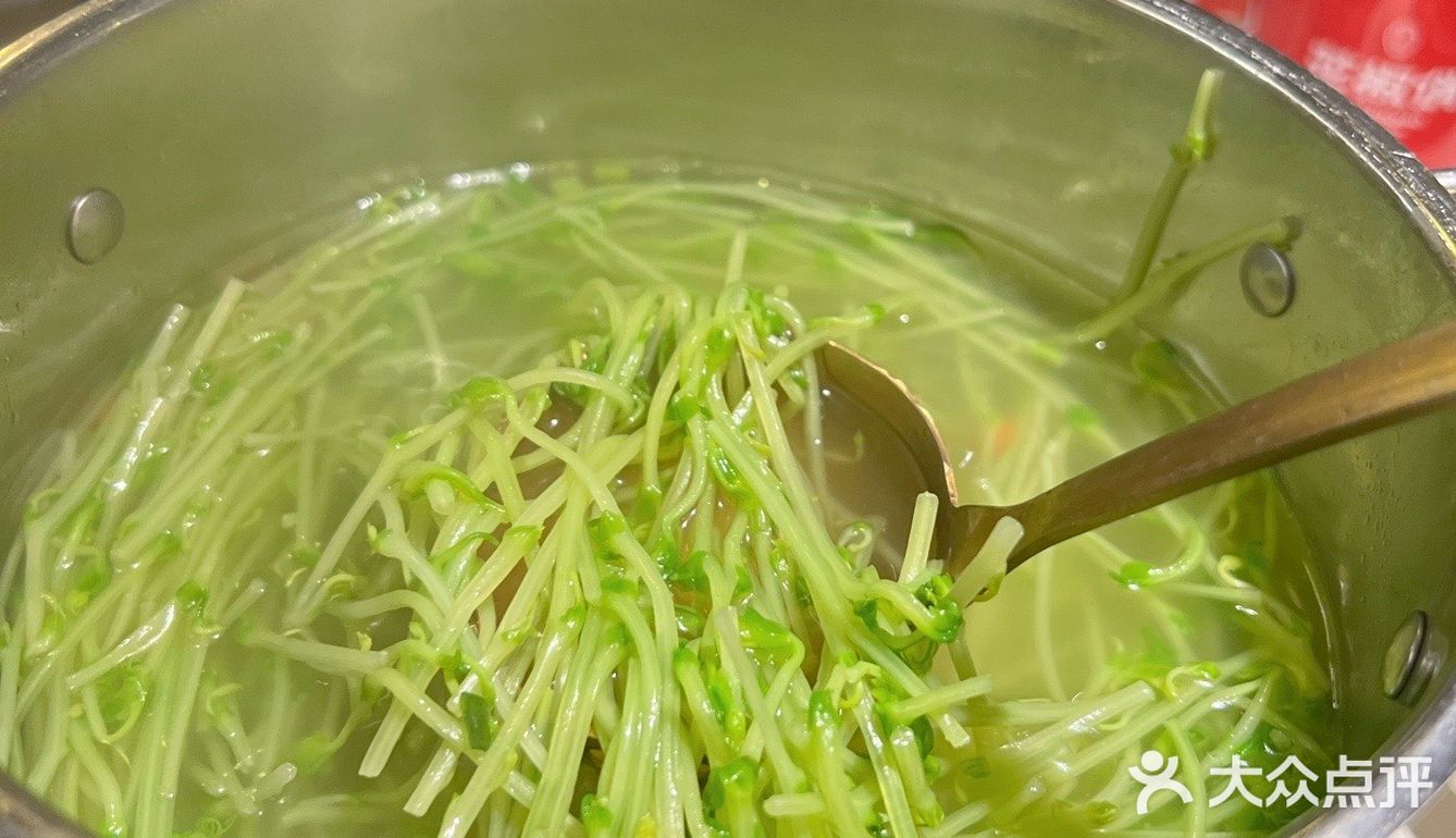 广州最多菜式的酸菜鱼店｜有辣有不辣各种特色菜任君选择 