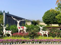 -雀儿山公园