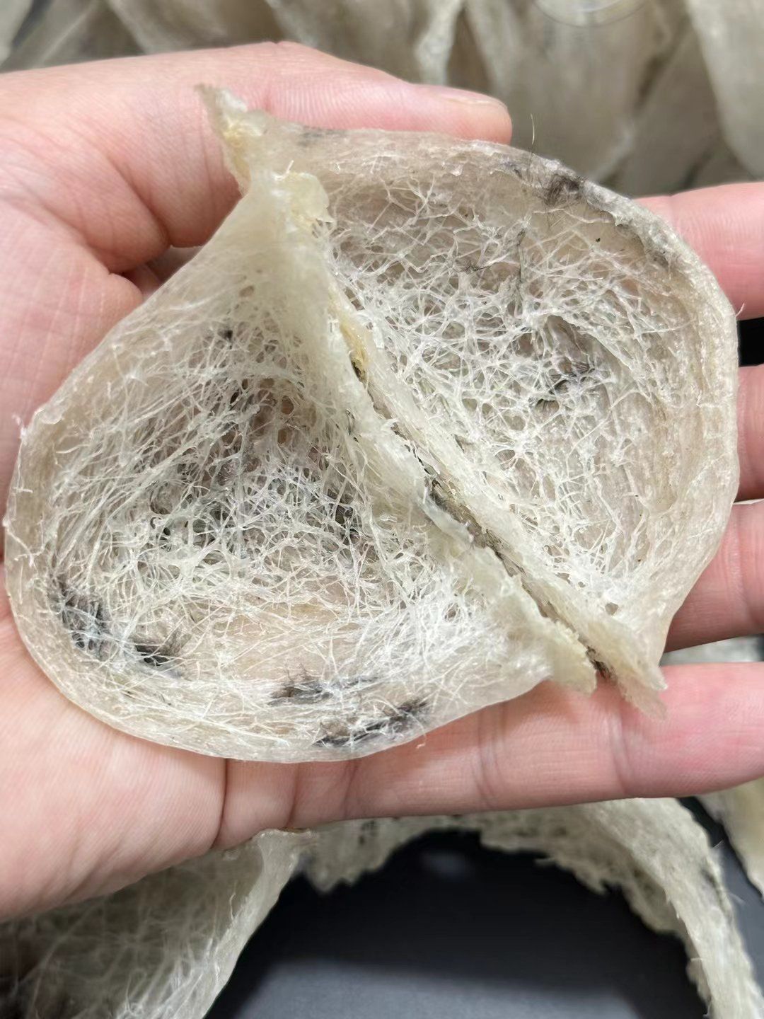 品质海岛毛燕盏